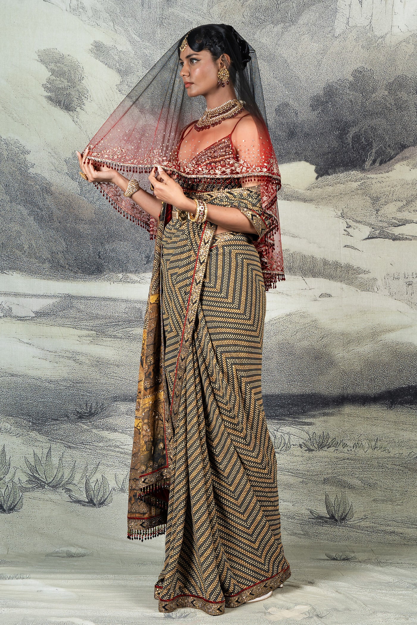 Multi-Hued Chevron Saree Set | BARODA