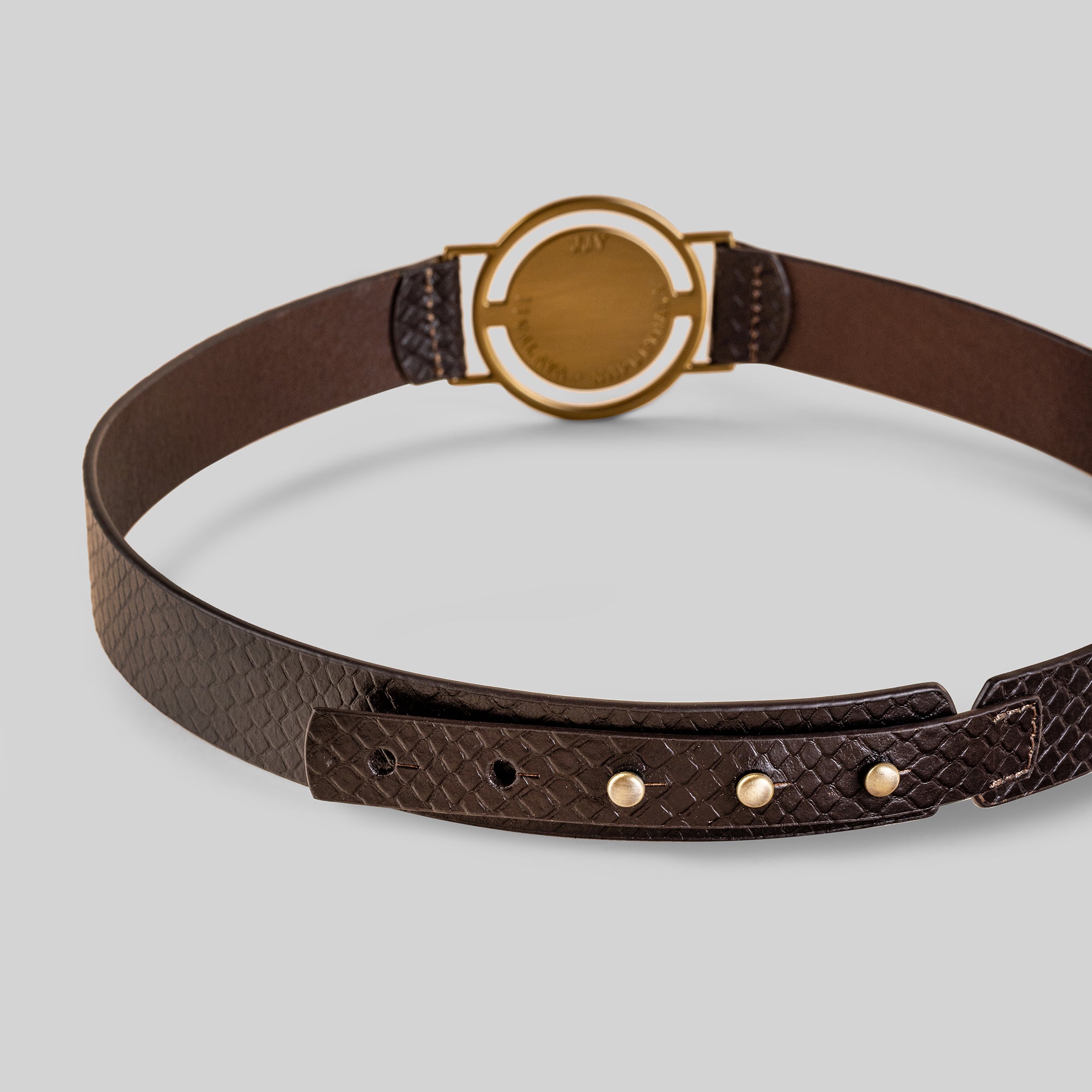 Snakeskin Wide Phoenix Belt